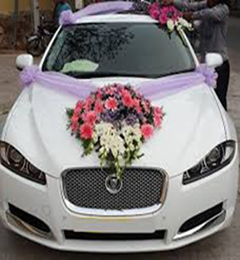 Rent A Jaguar For Wedding